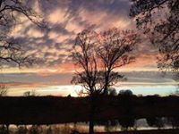 حسن ابو علي