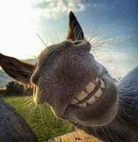 Рали Петрова