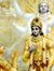 Mohit P...