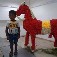Vidhya Gnanasekar