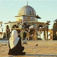 ساجدة الزهور