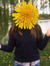 Raluca ...