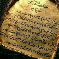 Andleeb Hameed
