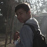 Nalin Kaushik