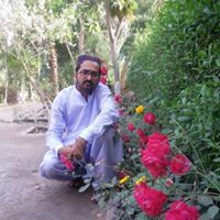 Suhail Dayo