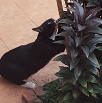 ธีรภัทร ชัยภูวภัทร