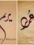 Ayman R...