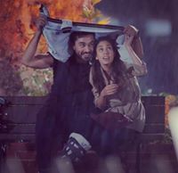 Reem El-Sayed