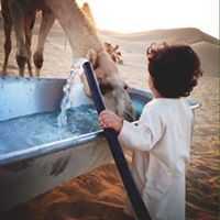 صاحبة المعالي