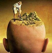 اسامه الشميري