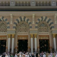 محمد الحربي