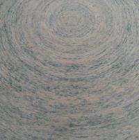 বন্দনা বী