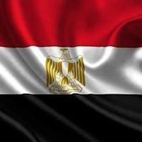 الاسكندراني المصري