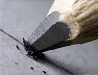 اسامه الغامدي