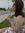 Breanna (bremanley) | 148 comments