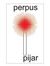 Perpus ...
