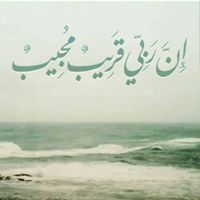 Aboamr Elmorsy