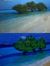 Syamsia...