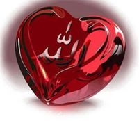 Walaa Seif