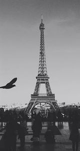 الفتى الصامت