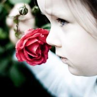 فادي ابو عليم