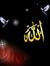 إسراء صبحى