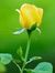 Prabu P...