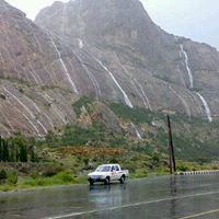 محمد القرني