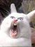 Laurene...