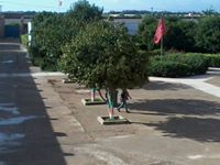 مولاي المقدم