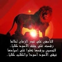 المنصف ابو العز