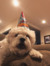 Raia