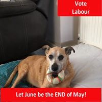 Lisa Griffiths Was Owen