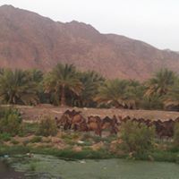 Omar Siddiqui