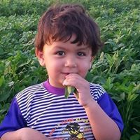 عقيل ابو اصف