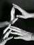 Rahaf Nj