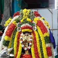 Lalitha Balachandran