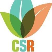 المسؤولية الاجتماعيه