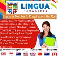 Lingua Sel
