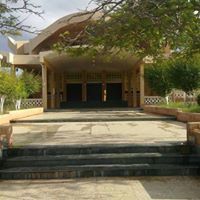 محمد الماجري.