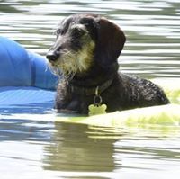 Steven Frank Slusarczyk