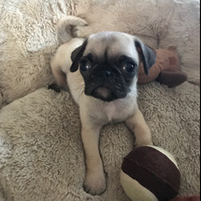 Christopher Esquivel