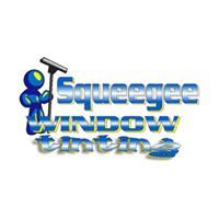 Squeegee Windowtint