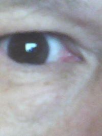 Михаил Шушеначев