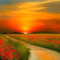 خالد عبد السادة