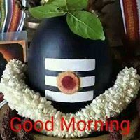 Ramesh Kumar Dodda