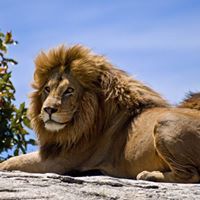 Rachid El Bouazzaoui