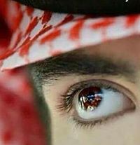 محمود النطاح