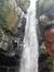 Dedek W...