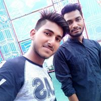 Vimal Shateer